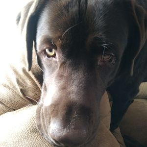 Meet your Posher, Marcie